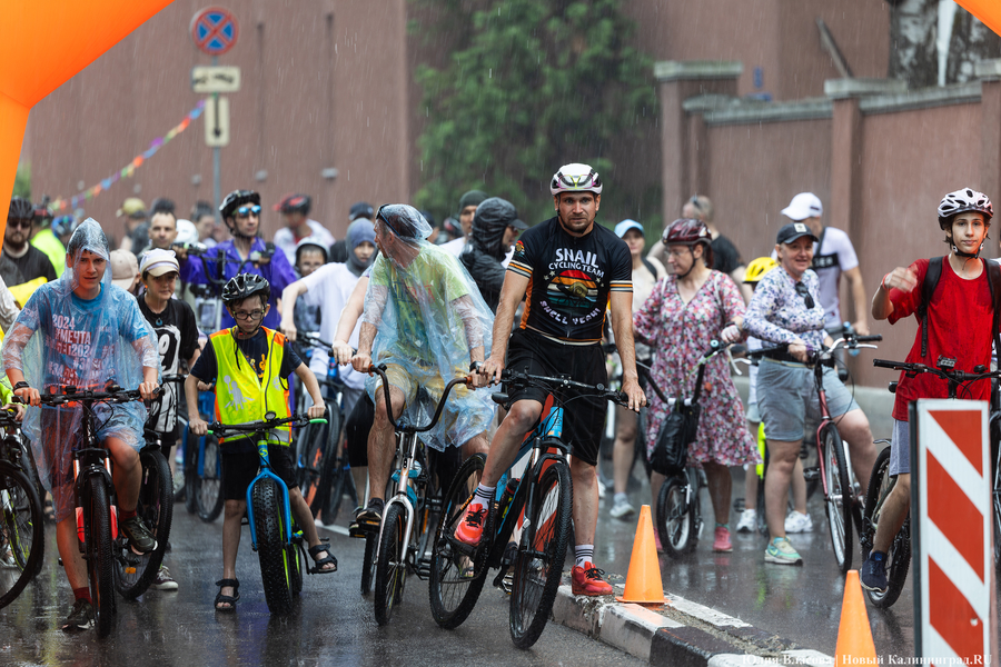 «Море положительных эмоций»: в Калининграде прошёл велопарад «День колеса» (фото)