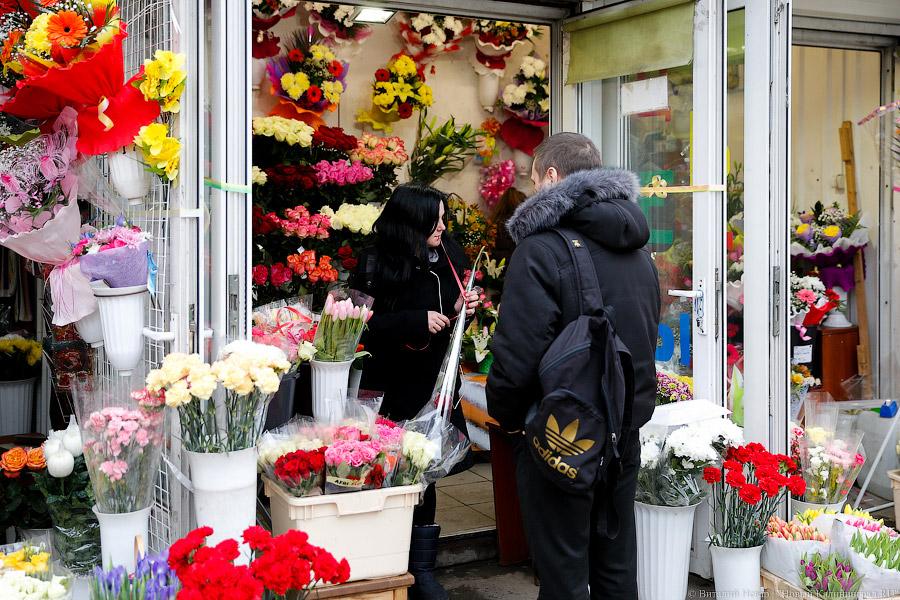 Кругом Голландия: сколько стоят цветы в центре Калининграда