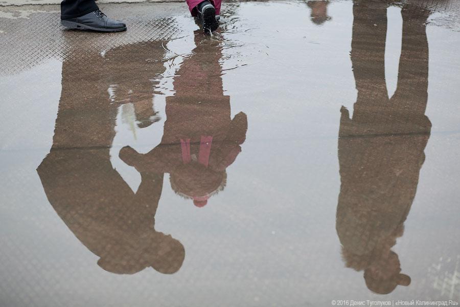 Шашлычная путина: как прошел День салаки в Балтийске