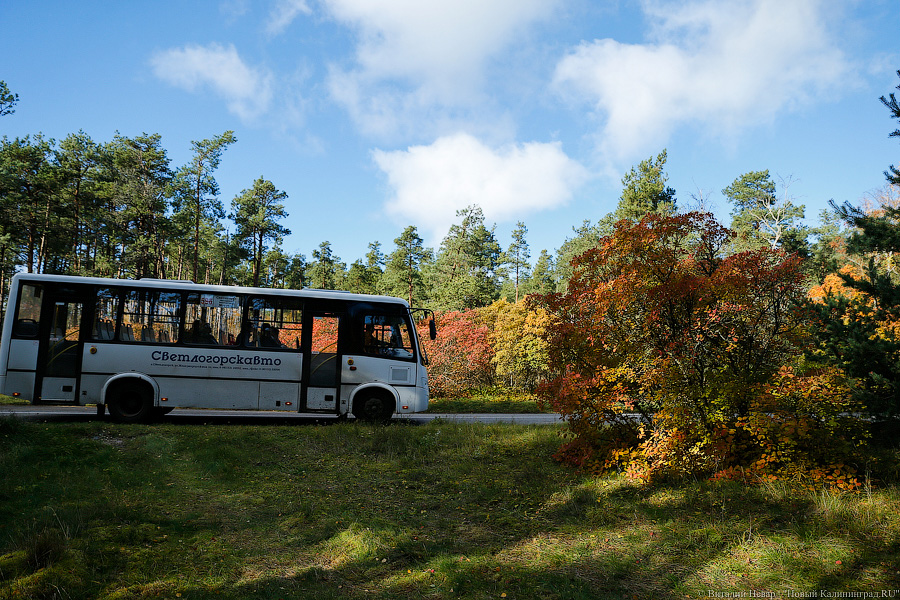 Светлогорский перевозчик снял с рейсов маршрут из-за дефицита водителей