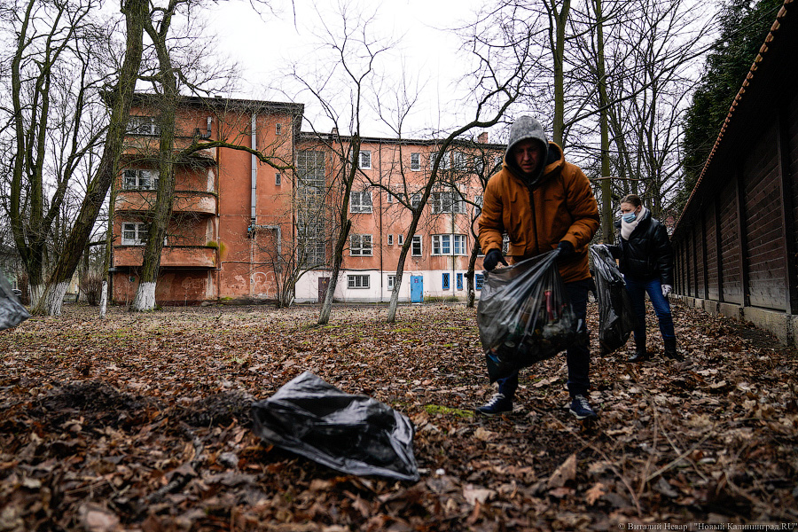 Теория целых окон: волонтеры пытаются спасти здание на Расковой с помощью уборки (фото)