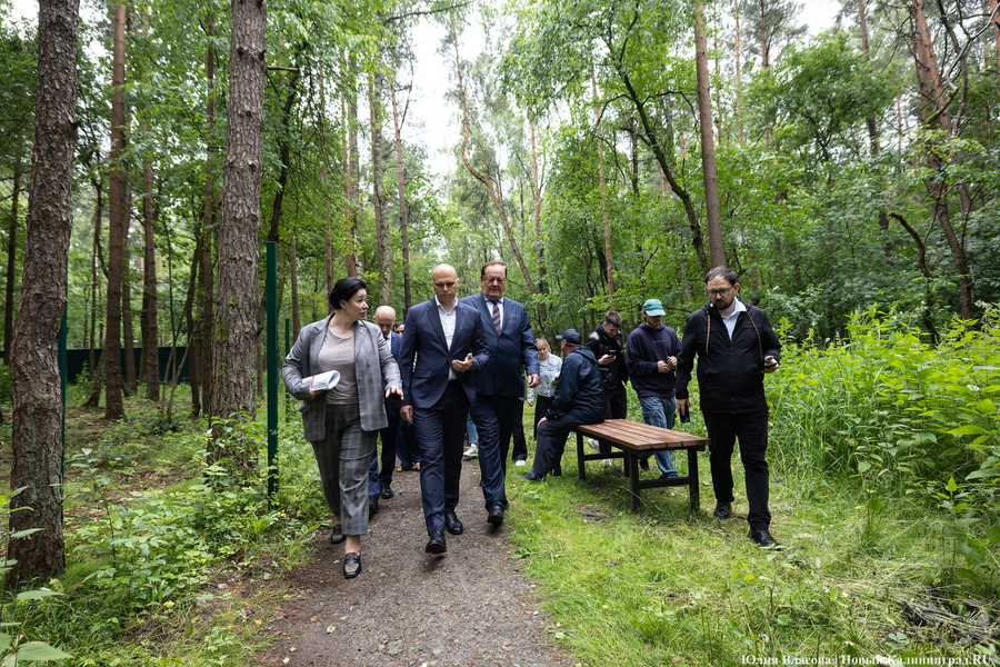 Планы развития к юбилею области: как губернатор в мкр. Космодемьянского выезжал (фото)