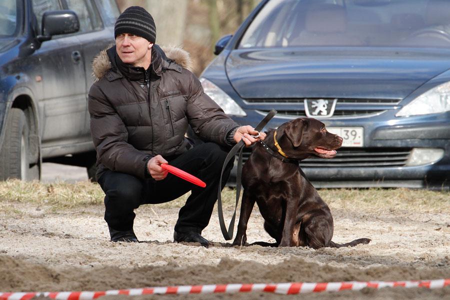 «Главные по тарелочкам»: фоторепортаж с соревнований по дог-фрисби