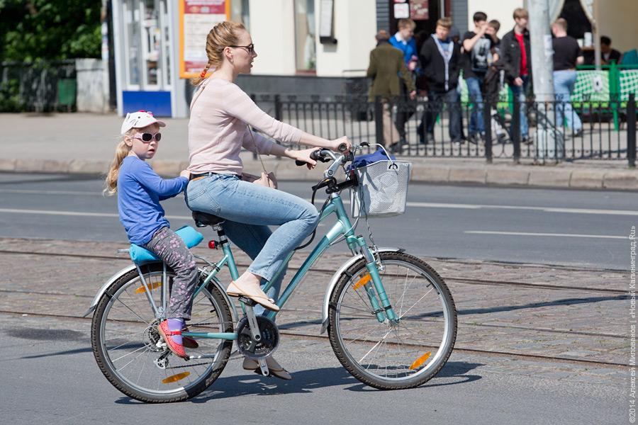 Распогодилось: что было на четвёртом калининградском «Дне колеса» (видео)