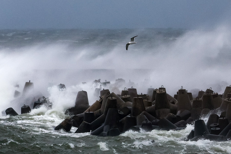 Что нам ветер: фоторепортаж из штормового Балтийска (фото)