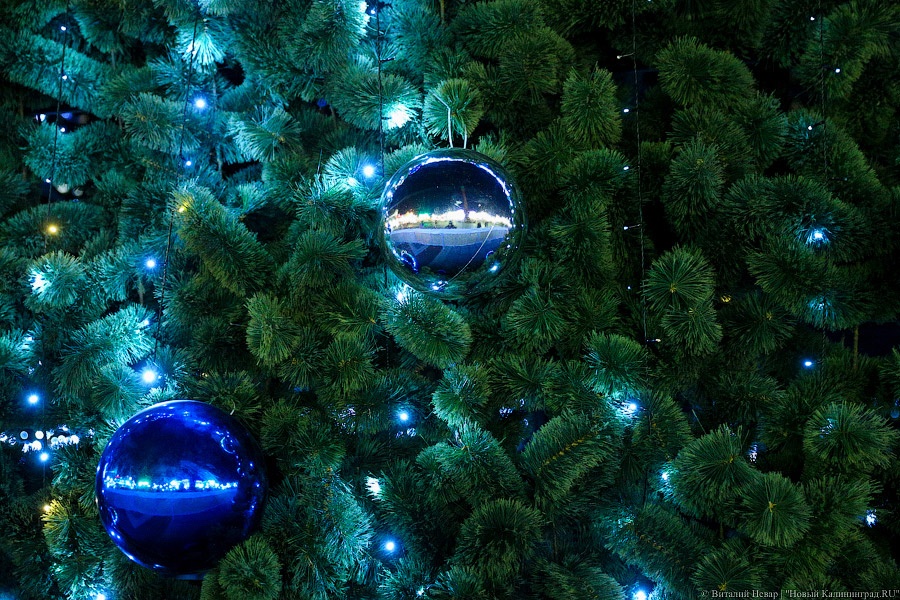 Власти намерены потратить на новогоднее оформление Калининграда 17 млн рублей