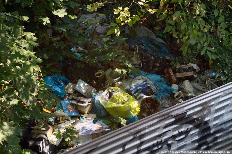 «Куда ушли детские сады»: фоторепортаж «Нового Калининграда.Ru»