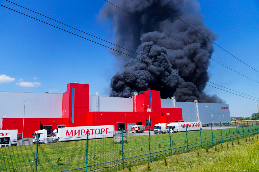 800 «квадратов»: пожар на заводе «Мираторга» в Калининграде локализован