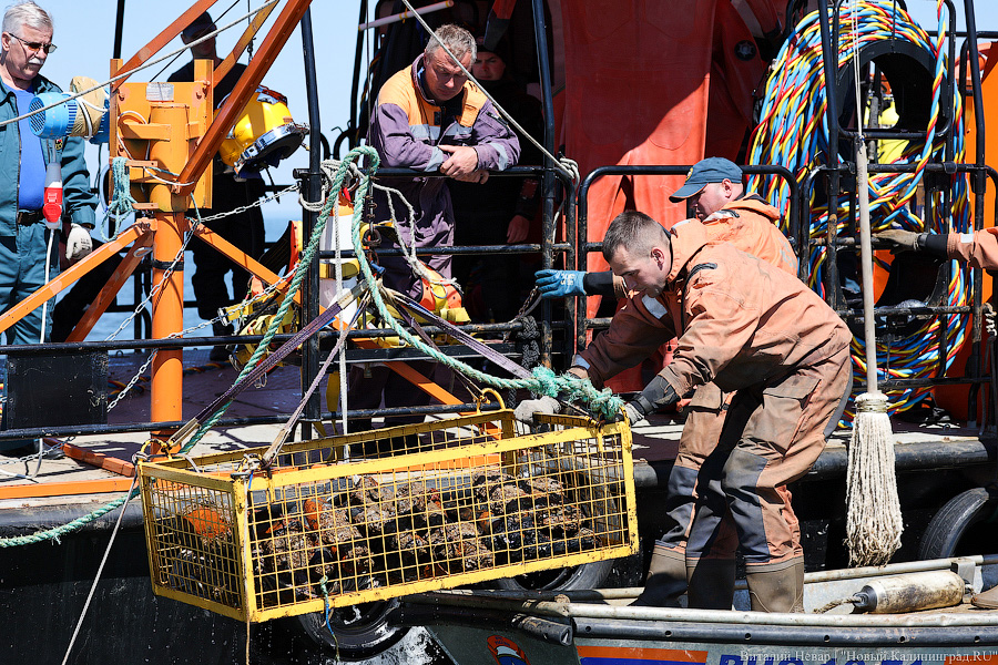 20 тысяч мин под водой: как проходит «разоружение» немецкой баржи под Балтийском (фото)