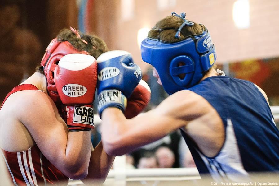 "Валуев, бокс и протоплазма": фоторепортаж "Нового Калининграда.Ru"