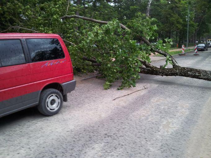 Шторм в Литве: на пляже Ниды ветер поднял в воздух коляску с ребенком (фото)