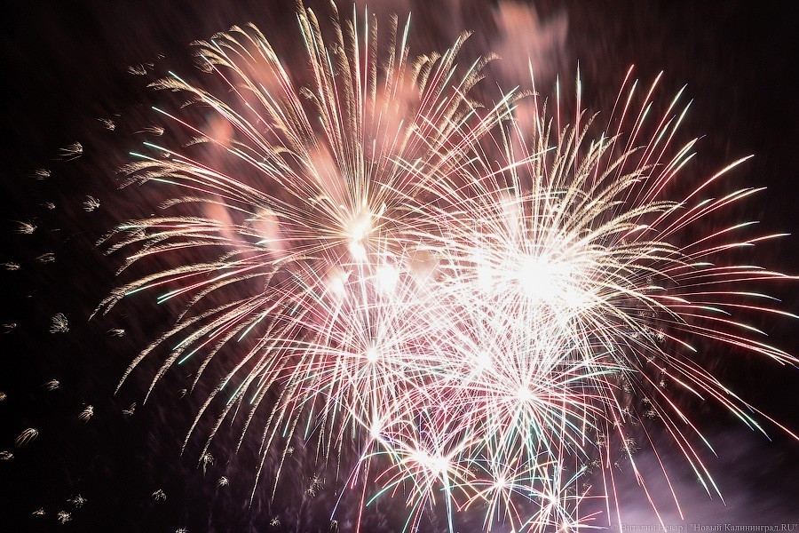 В дни фестиваля фейерверков в Калининграде пустят ночные автобусы