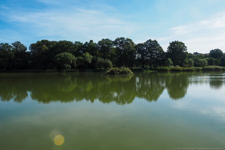 «Гидротехник»: летом достали диван из озера в Калининграде
