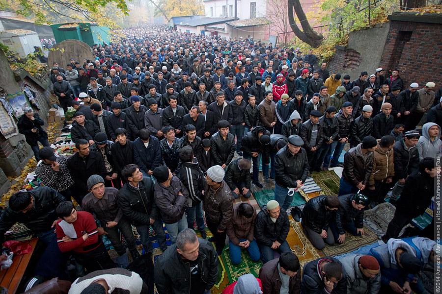 «Хотят замылить»: власти разделили мусульман в споре о мечети в Калининграде