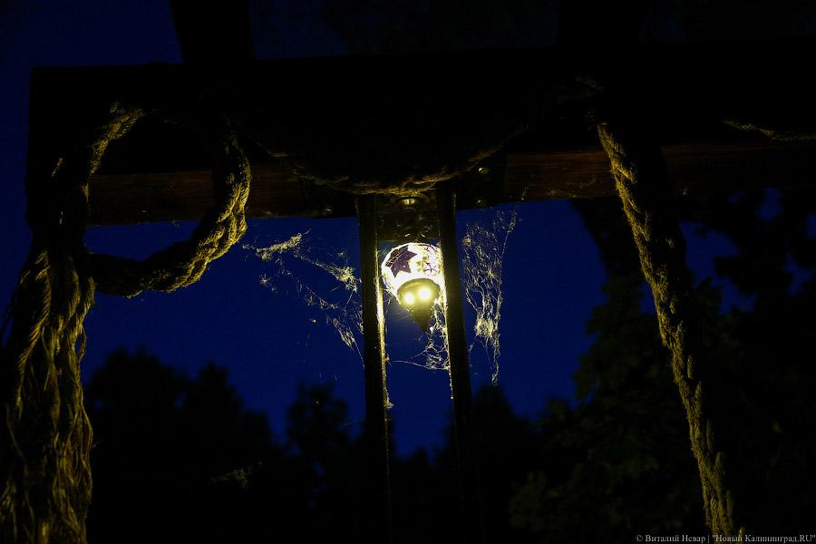 Вечерний Дьяков: как калининградский альтист устроил концерт на плоту (фото)