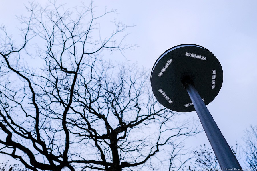 Плитка на плитке: как выглядит центр Зеленоградска во время реконструкции (фото)