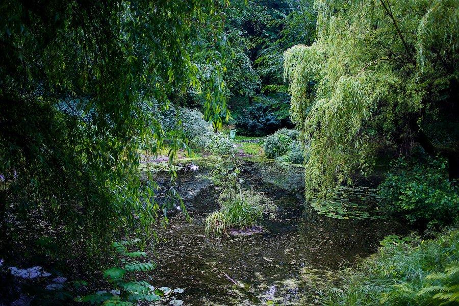 На неведомых дорожках: дендропарк калининградского Экоцентра