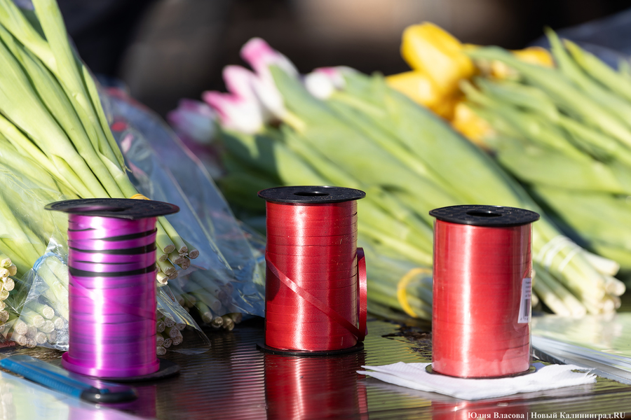 Кругом мимозы и тюльпаны: как выглядят улицы Калининграда 8 марта (фото)