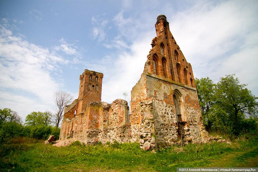 «А денег нет»: в переданной РПЦ кирхе 14-го века в Храброво валяются человеческие кости