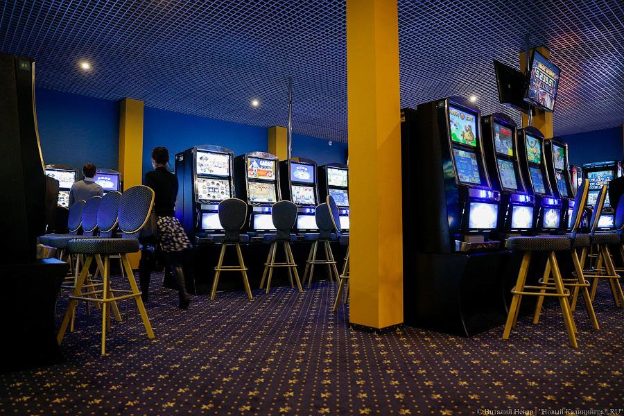 Без блэкджека: что представляет собой «балтийский Лас-Вегас» в Куликово