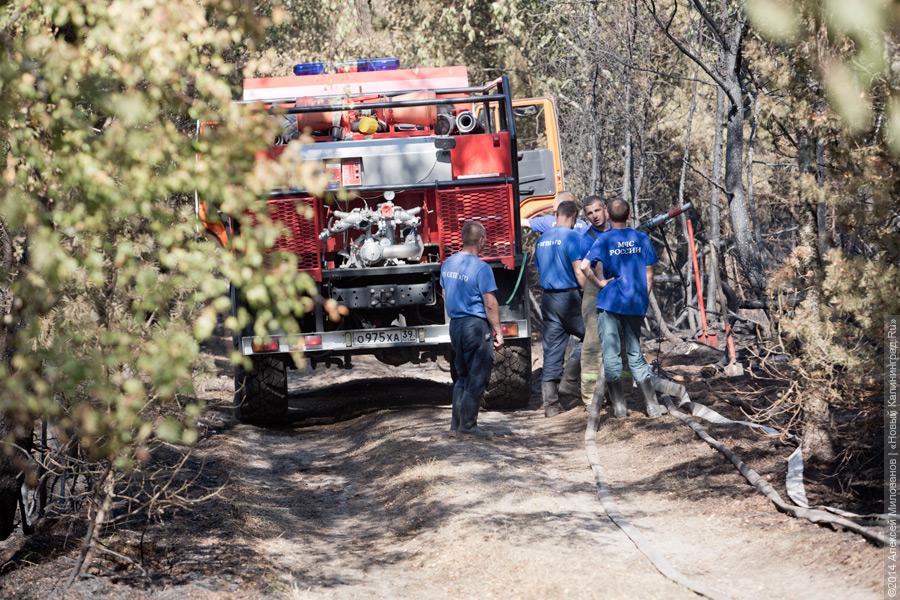 Когда рассеялся дым: после локализации лесного пожара на Куршской косе (фото)