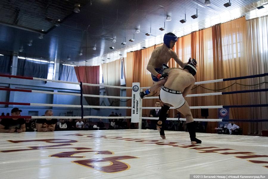 «Сопли в сторону»: фоторепортаж с Чемпионата области по смешанным единоборствам