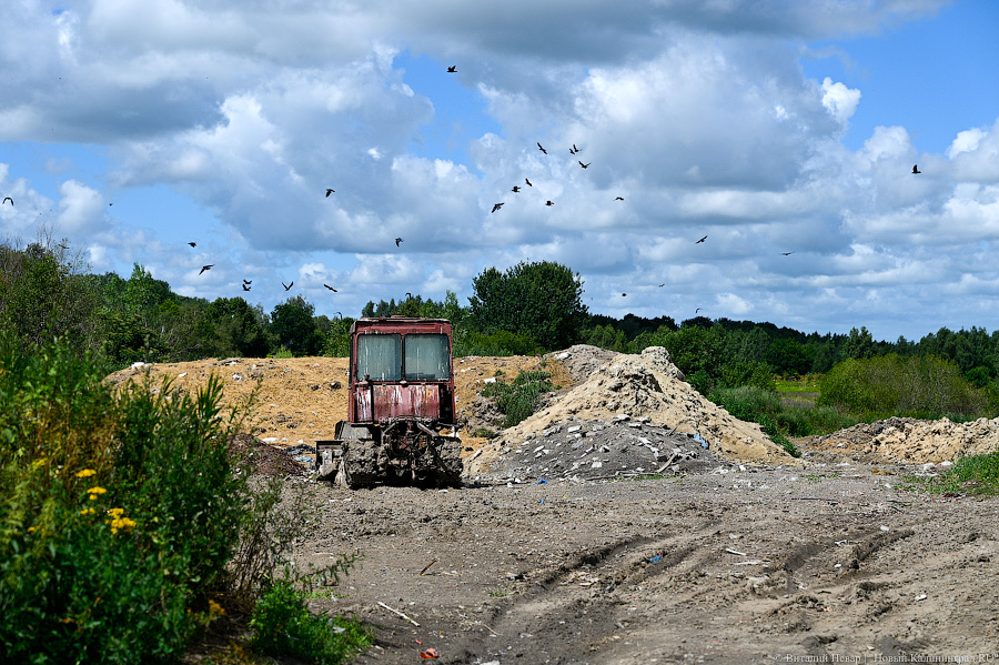 В Краснознаменском районе на землях сельхозназначения обнаружена свалка