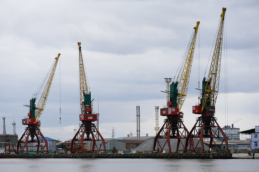 Сделки с последствиями: что рассказали в суде о продаже акций Калининградского торгового порта