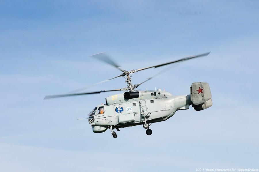 "Прилетит вдруг волшебник": фоторепортаж "Нового Калининграда.Ru"