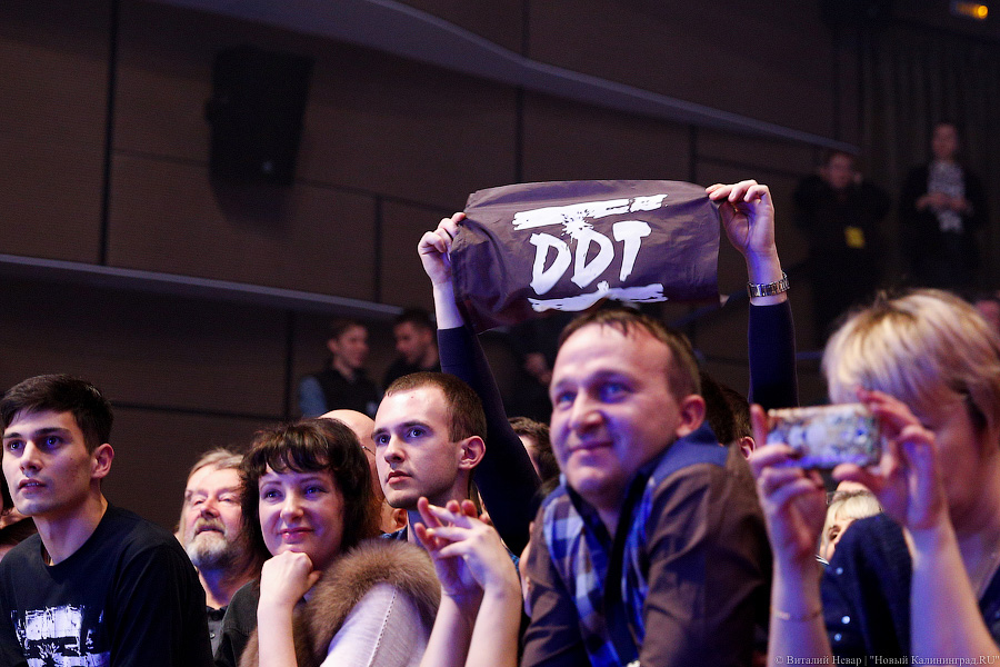 Историческая рок-вечеринка: как группа ДДТ вспоминала о былом в Светлогорске