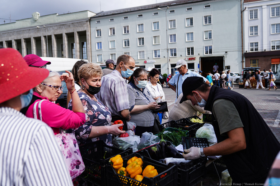 Базар-вокзал: как проходит сельхозярмарка на площади Победы в Калининграде