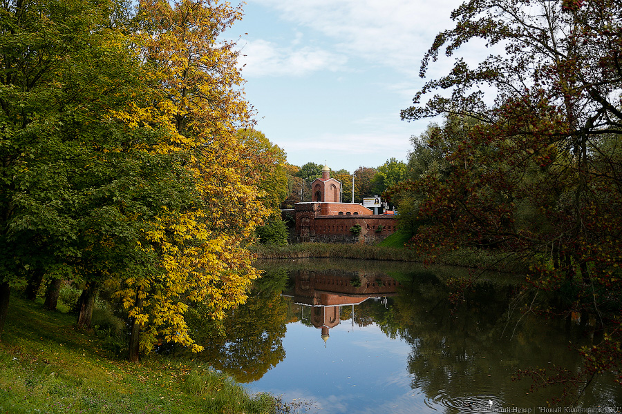 Дошли до Путина: что известно о вандализме на мемориалах в Калининграде