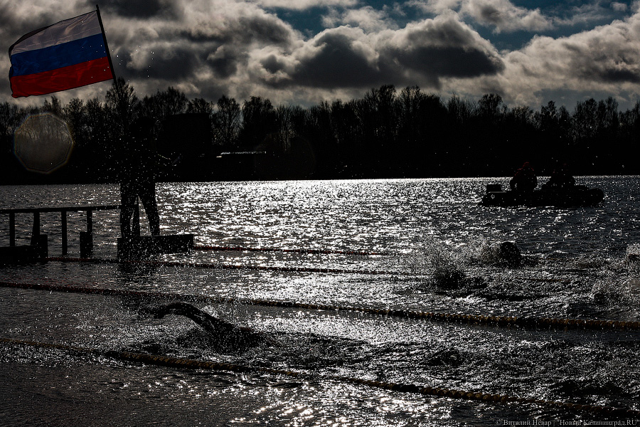 Время моржей: в  Калининграде прошли соревнования по зимнему плаванию (фото)