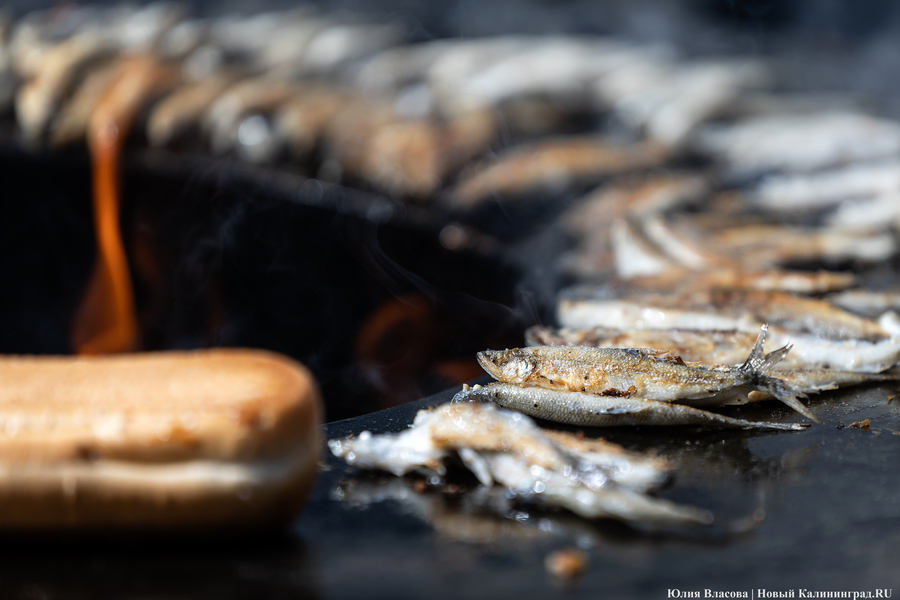1600 рублей за килограмм: в Росрыболовстве рассказали, что повлияло на цену корюшки