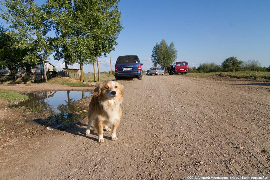 «Я все пью, а мне все хуже»: как Краснознаменск встретил Николая Цуканова