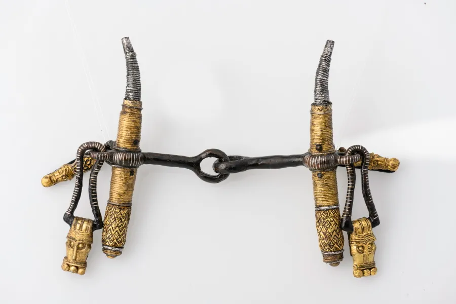 Удила с псалиями (VI век н.э.). Фото предоставлено Государственным историческим музеем.