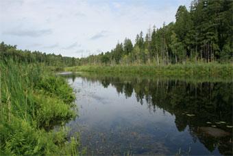 Открытое письмо правительству области по вопросу создания природного парка «Виштынецкого»