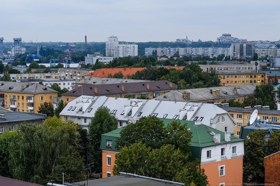 С личного завода кайзера: филармония хочет запустить экскурсии на колокольню (фото)