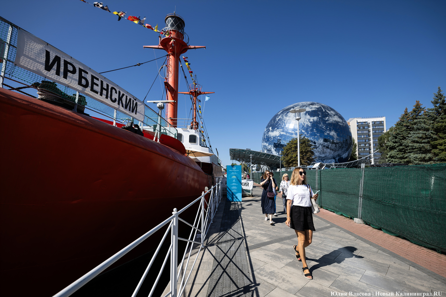 Фото: Юлия Власова / Новый Калининград 