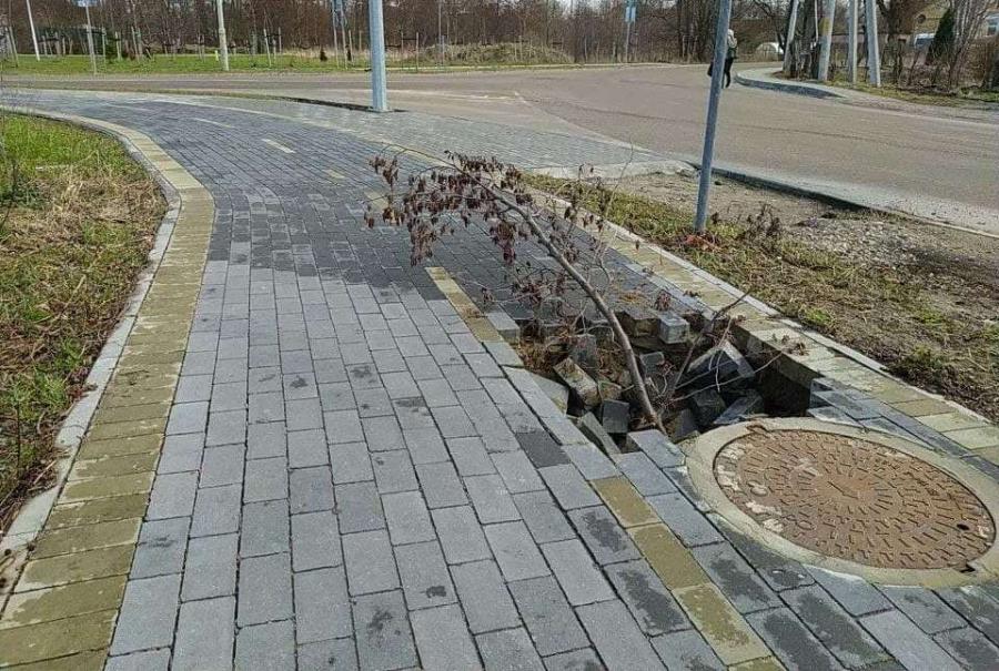 Возле Пионерского провалилась строящаяся от «косы до косы» велодорожка (фото)