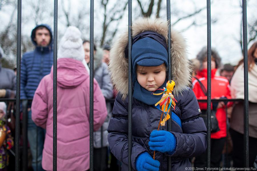 Продвинутое средневековье: как люди и звери Масленицу отмечали