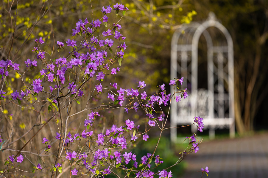 Погода в Калининградской области 28 марта