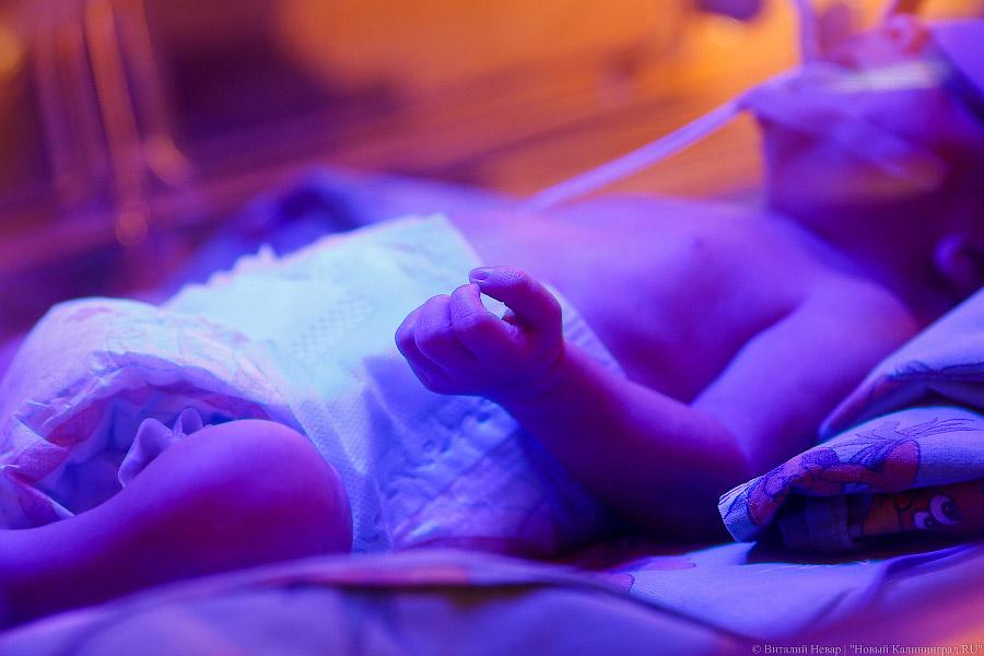 «Особое внимание»: глава Минздрава РФ навестила Калининград