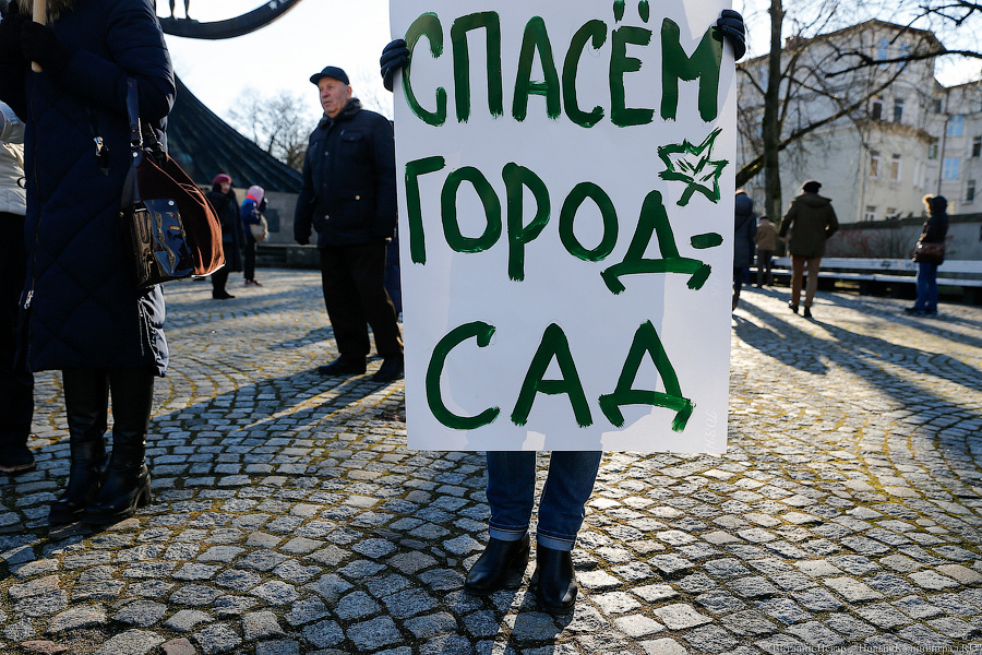 Генпрокуратура РФ признала Greenpeace нежелательной организацией