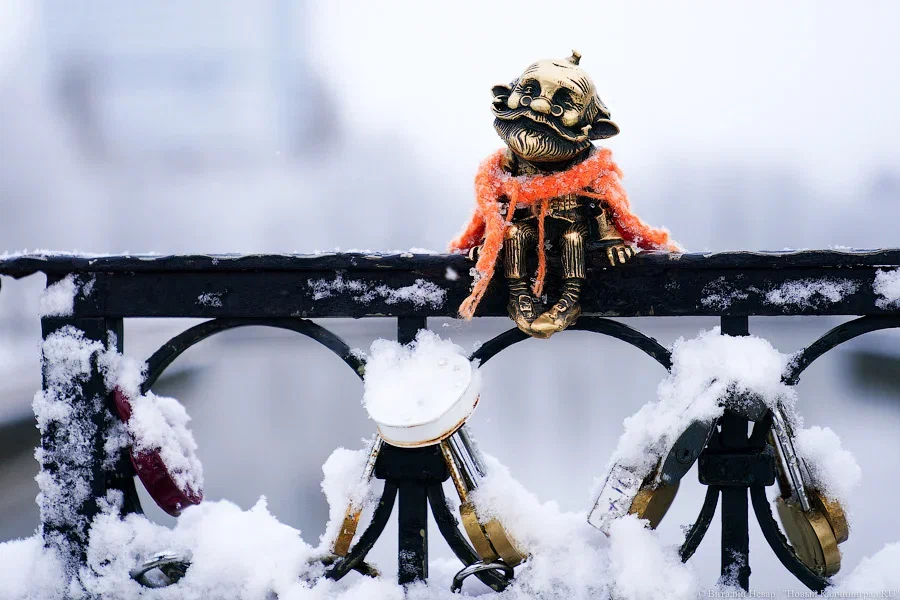 Погода в Калининградской области 6 января