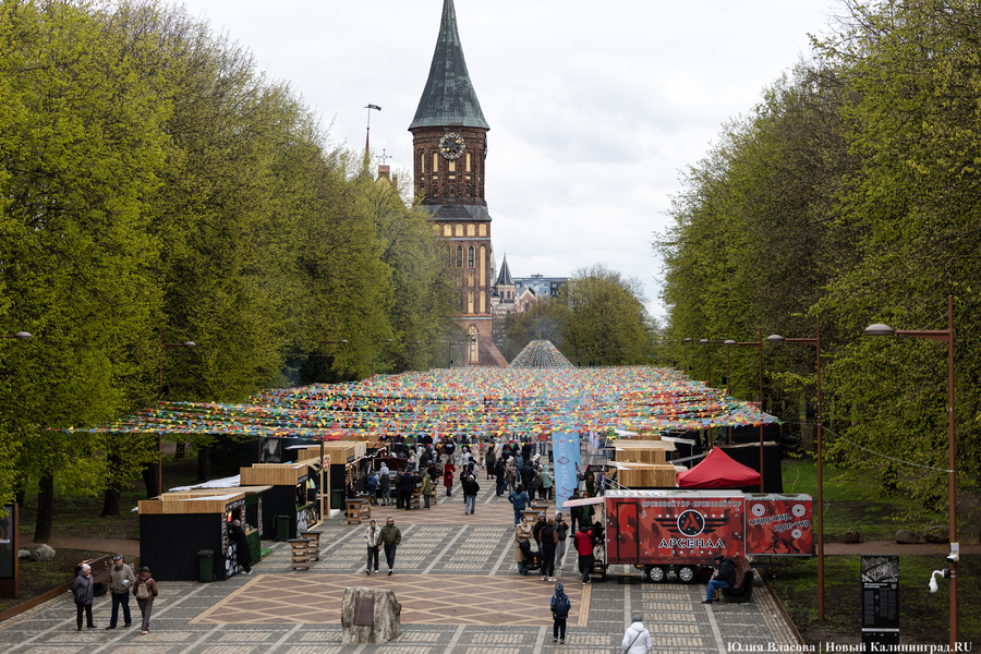 «Миша и Кант»: у Кафедрального собора планируют установить новую скульптуру