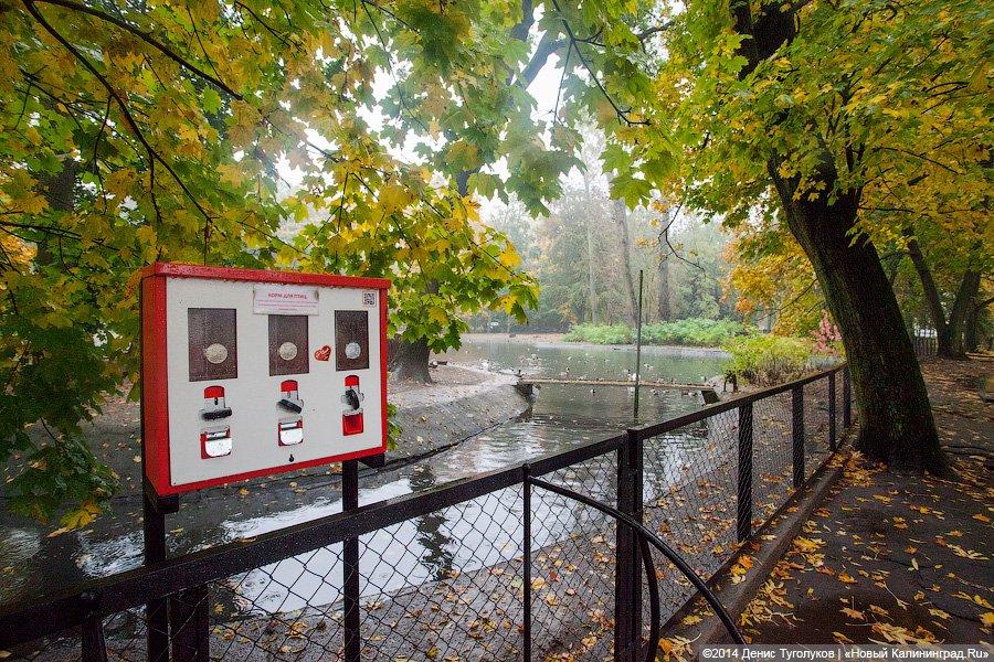 Звериные тропы: прогулка по зоопарку