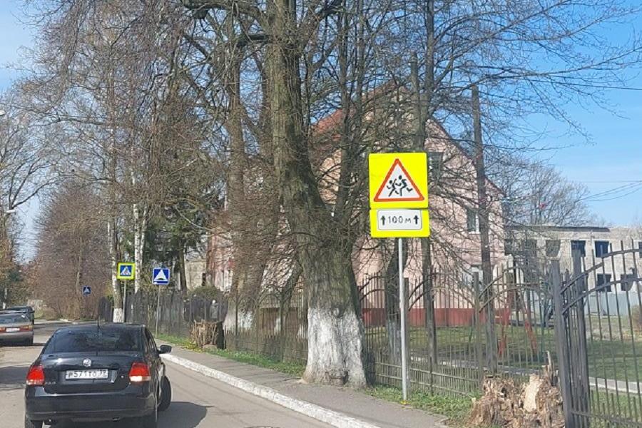 В рамках реконструкции на ул. Соммера вырубают 7 деревьев