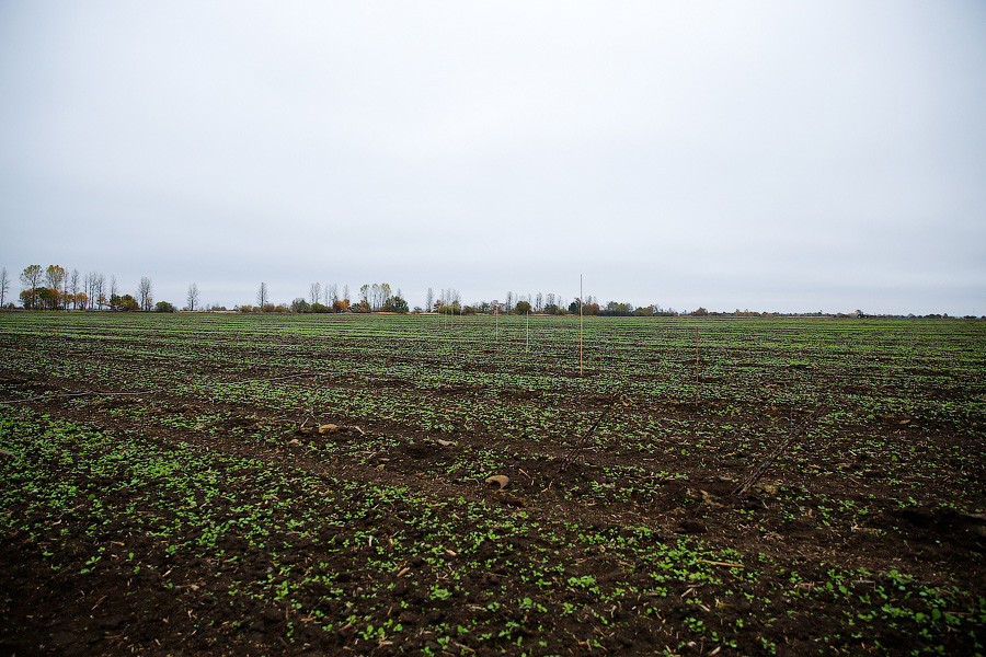 Фото — Виталий Невар, «Новый Калининград.Ru»