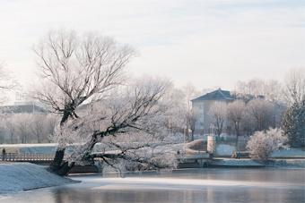 Аномальные морозы в регионе продержатся еще несколько дней